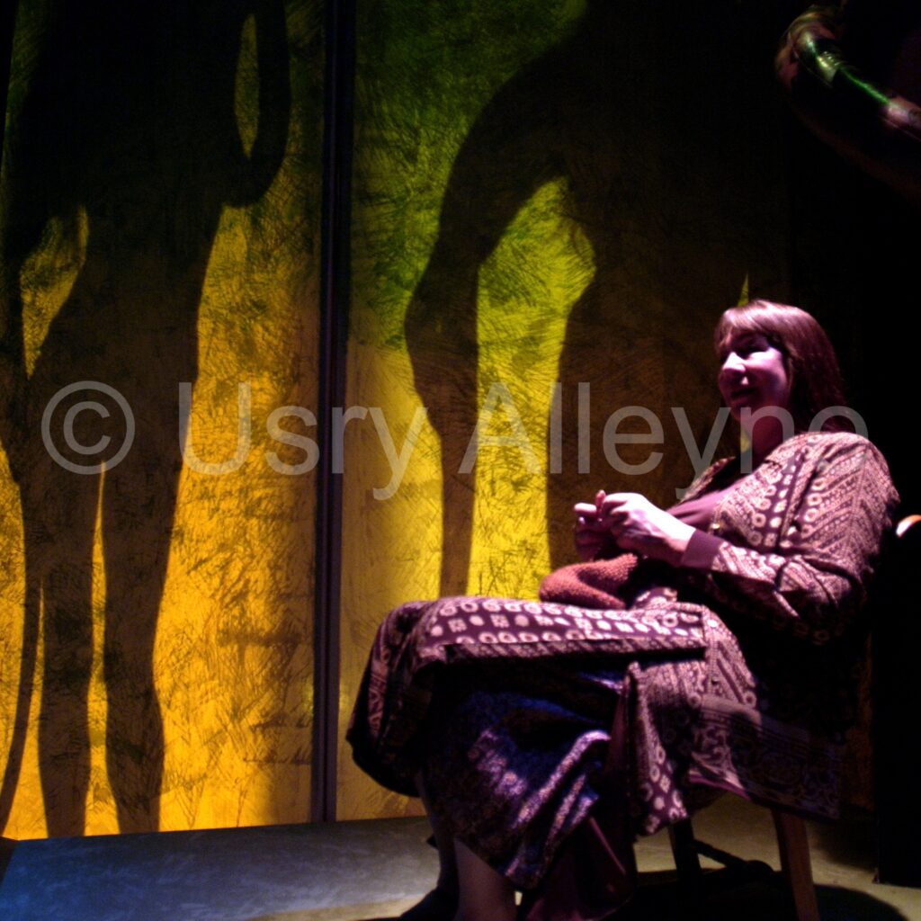 Theater Photography 0015
