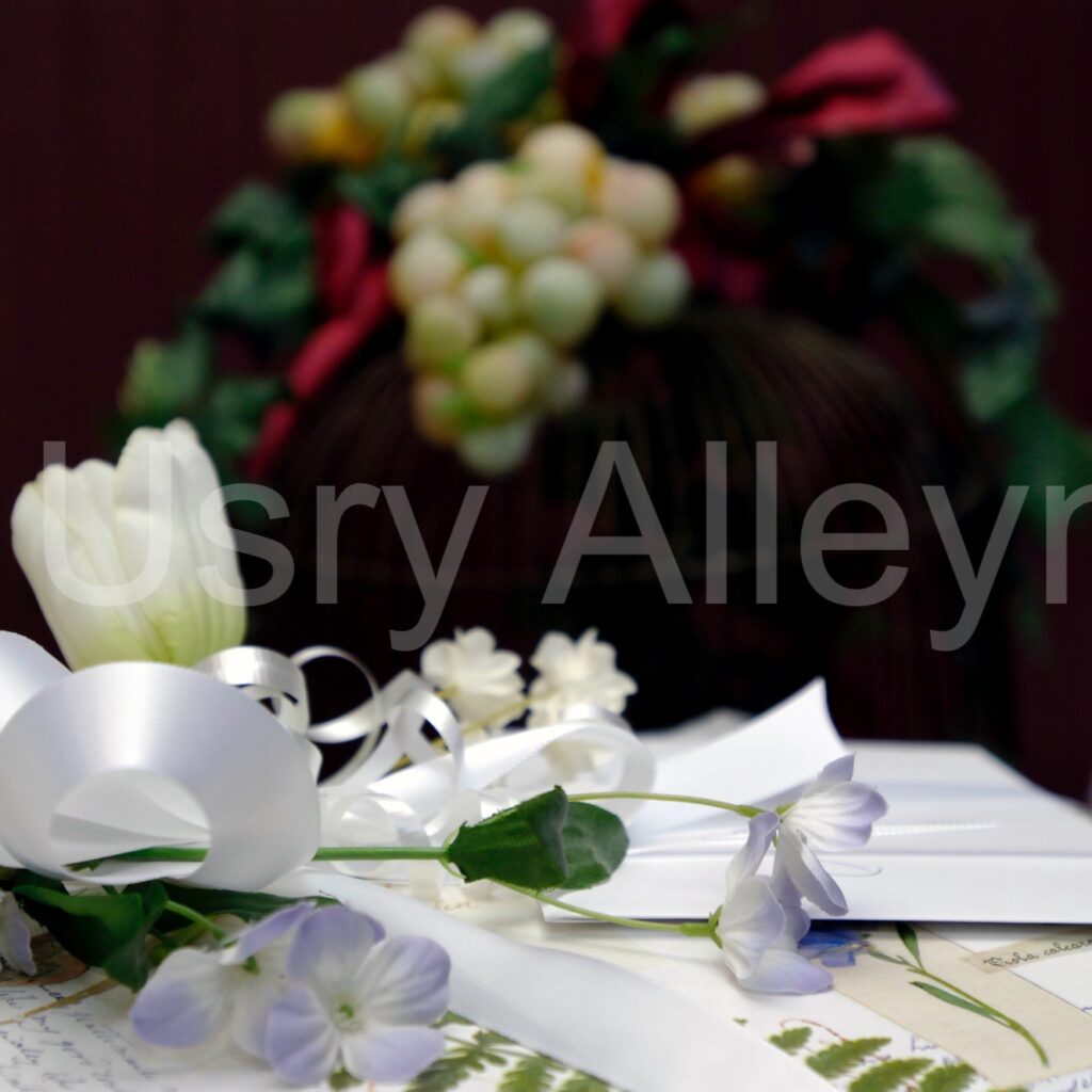 Wedding Reception Photography _DSC5341