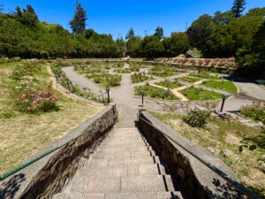 Morcom Rose Garden, Oakland, California 