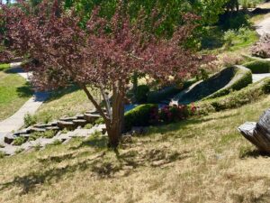 Morcom Rose Garden, Oakland, California 