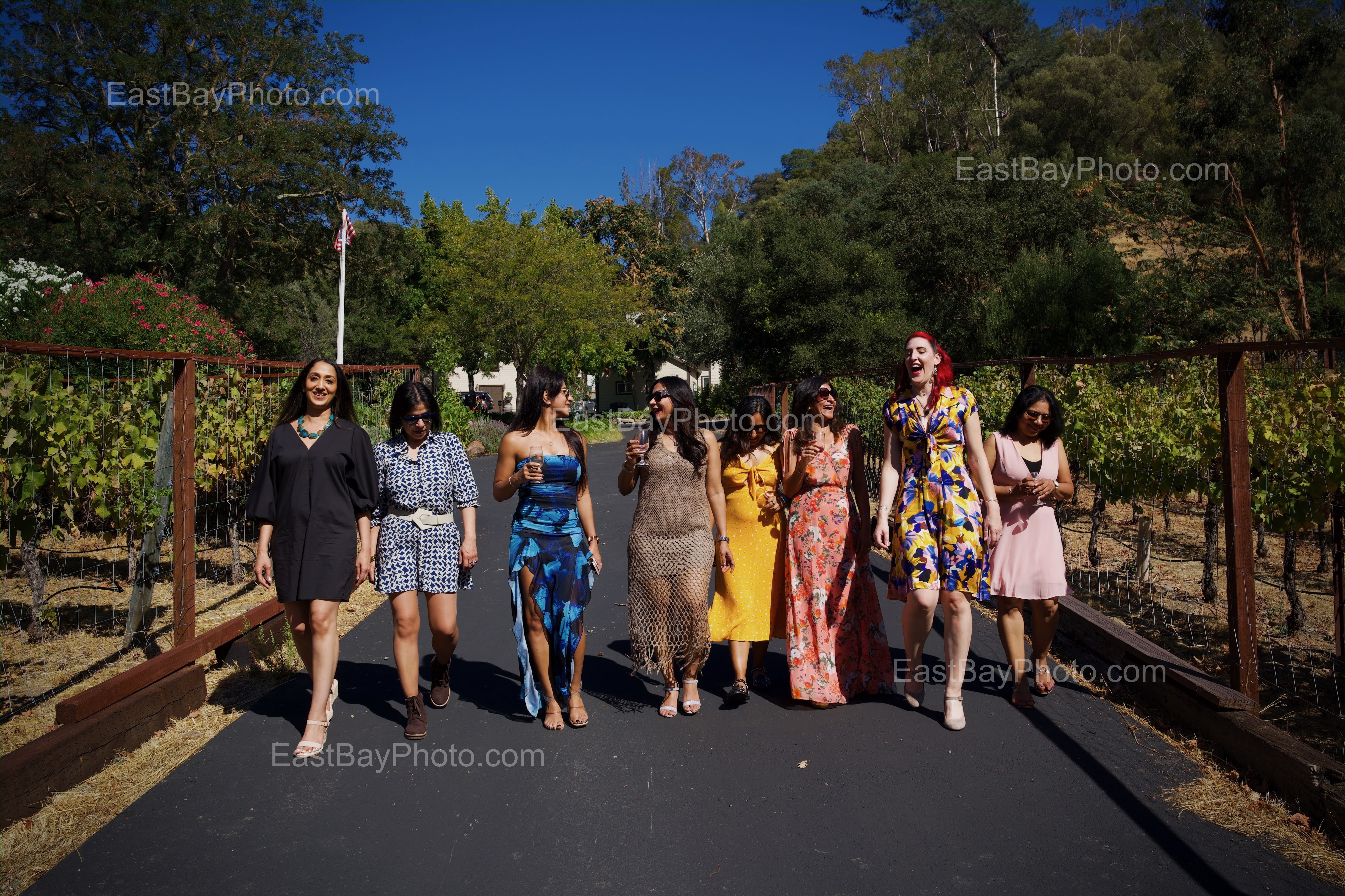 Event Photography, Birthday Party, Priya, Elliston Vineyards 004