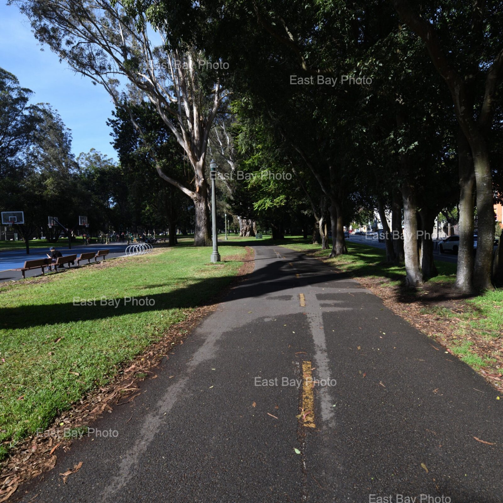 east-bay-photo-location-golen-gate-park0003