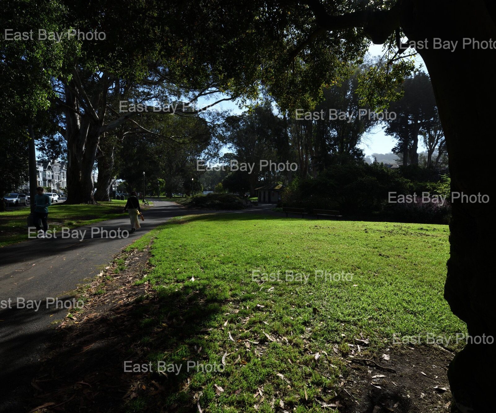 east-bay-photo-location-golen-gate-park0006